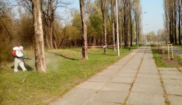 клещи, обработка