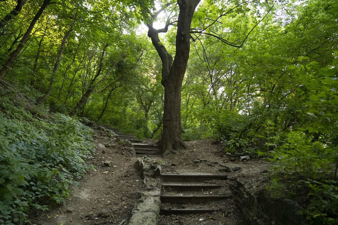 Замковая, гора, Андреевская, церковь, парк