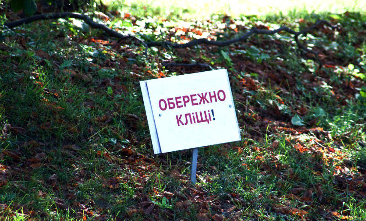 табличка, клещи