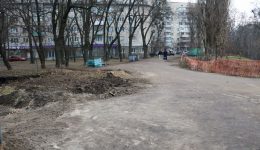 ландшафтный парк, соломенский район