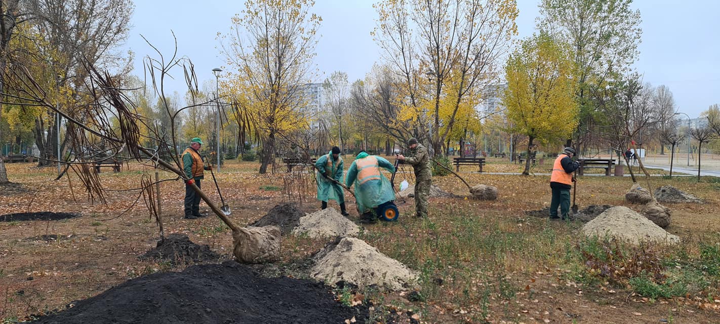 катальповий гай на березняках