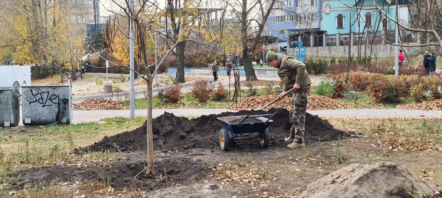 катальповий гай на березняках