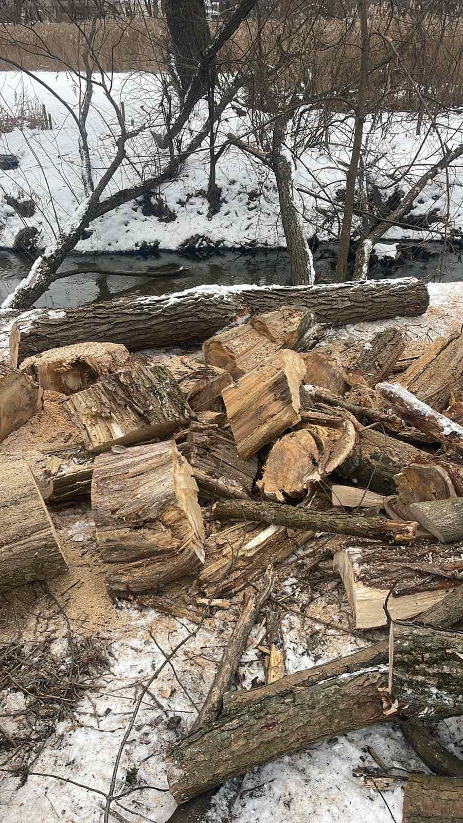 Благоустрій парку біля совських ставків