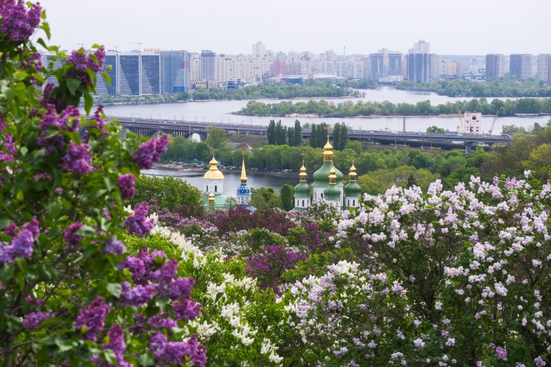 Бузкова алея (фото: РБК-Україна/Віталій Носач)